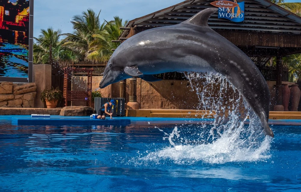 uShaka Marine World Image
